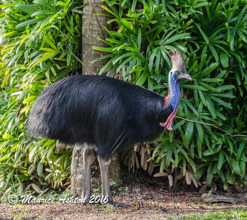 Big4 Tasman Holiday Parks - South Mission Beach מראה חיצוני תמונה